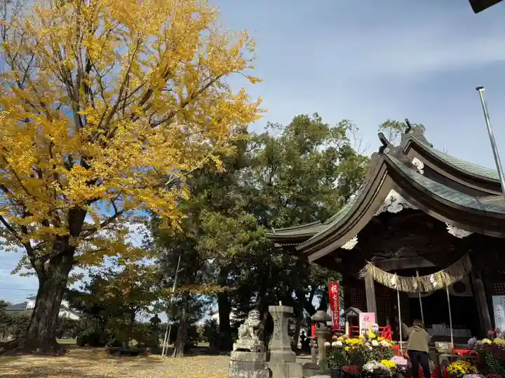 美奈宜神社(福岡県)