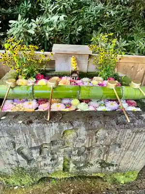 白根神社(群馬県)