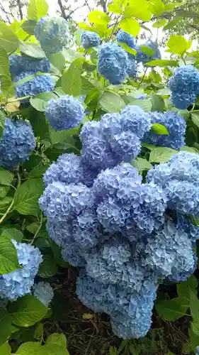 普門寺(岡山県)