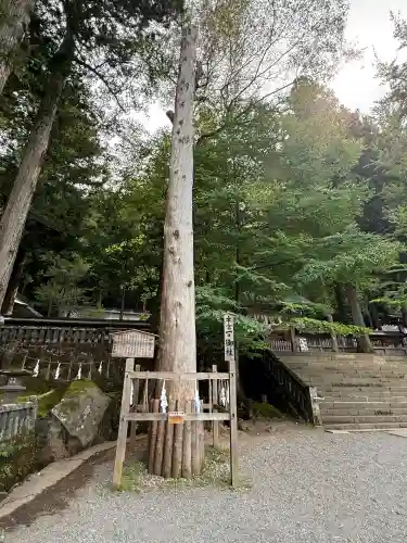 諏訪大社(長野県)