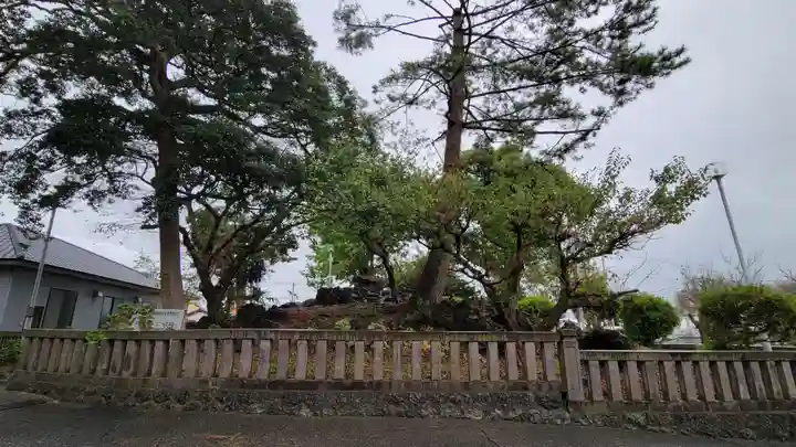 日吉浅間神社の自然