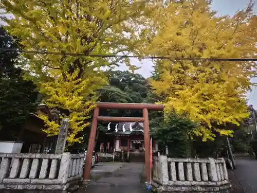 葛見神社の鳥居