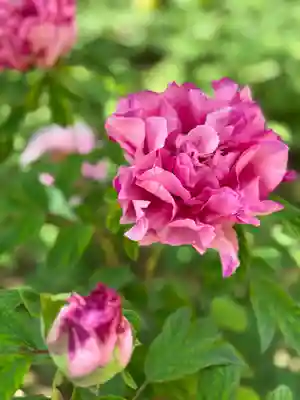 薬師院(兵庫県)