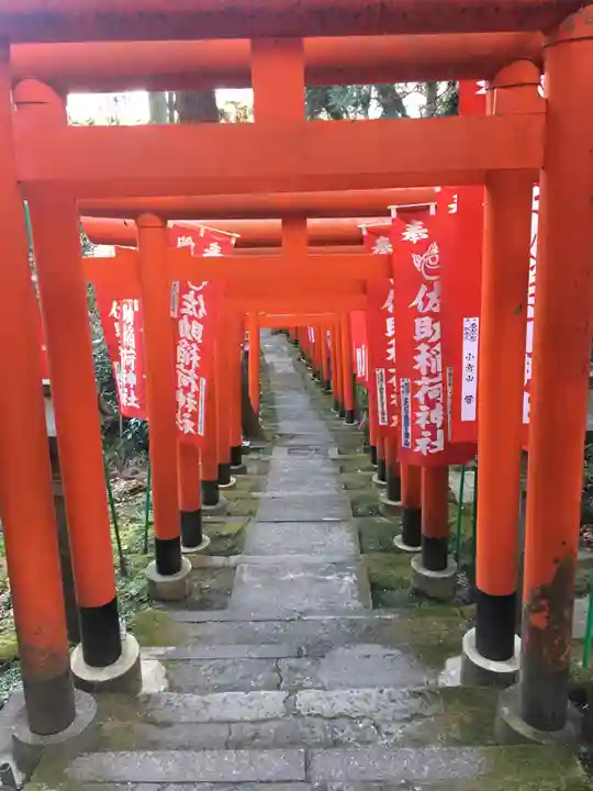 佐助稲荷神社の鳥居