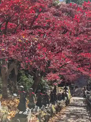 大山寺(神奈川県)