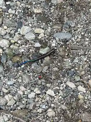 日光二荒山神社(栃木県)