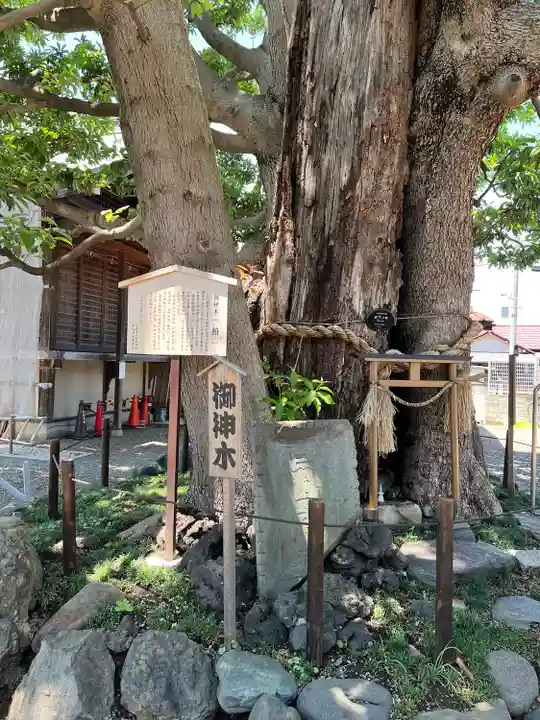 嶺白山神社の自然