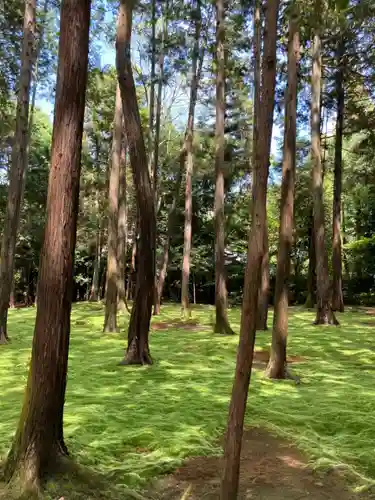 唐招提寺の庭園