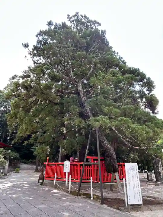 香椎宮(福岡県)