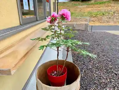 滑川神社 - 仕事と子どもの守り神のその他建物