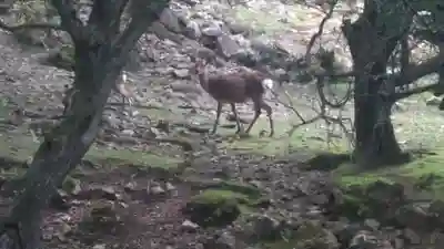 修禅寺(山口県)