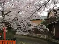 辰巳大明神の自然