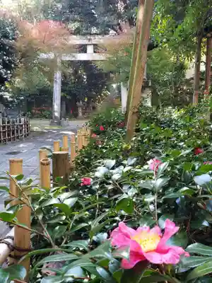 赤坂氷川神社(東京都)