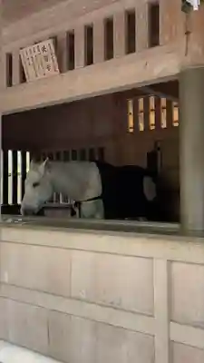 伊勢神宮外宮（豊受大神宮）(三重県)
