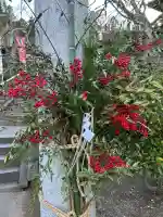 温泉神社〜いわき湯本温泉〜(福島県)