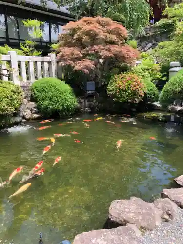 久遠寺の庭園