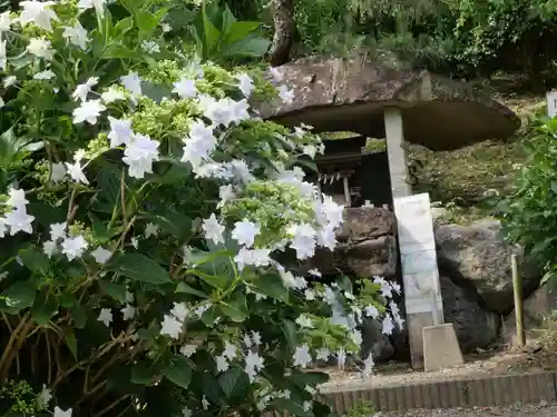 龍尾神社(静岡県)