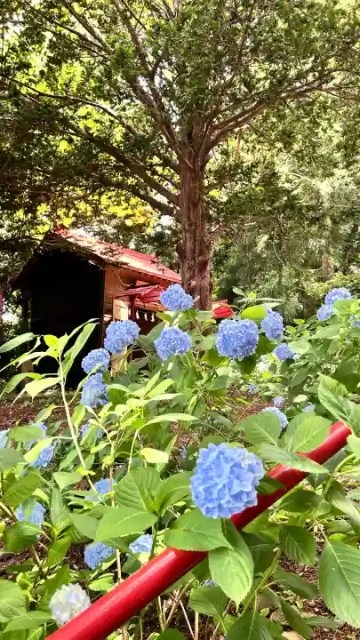 上湯川稲荷神社(北海道)