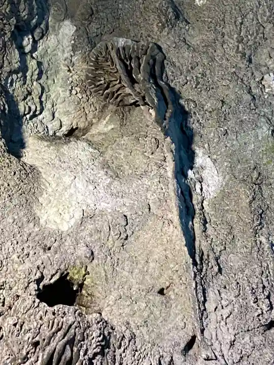 岩山大明神(岡山県)