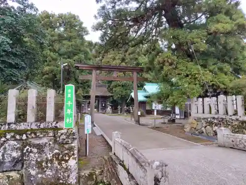 若狭姫神社（若狭彦神社下社）の{uncategorized: "未分類", other: "その他", undefined: "問題あり", building: "その他建物", grave: "お墓", sacred_gate: "鳥居", guardian: "狛犬", statue: "像", buddha: "仏像", history: "歴史", nature: "自然", garden: "庭園", animal: "動物", pagoda: "塔", temizu: "手水舎", mountain_gate: "山門・神門", sanctuary: "本殿・本堂", subordinate: "末社・摂社", art: "芸術", scenery: "景色", jizo: "地蔵", ema: "絵馬", goshuin: "御朱印", omikuji: "おみくじ", items: "授与品その他", amulet: "お守り", goshuincho: "御朱印帳", eats: "食事", festival: "お祭り", votive_dance: "神楽", shichigosan: "七五三参", wedding: "結婚式", experience: "体験その他", initially: "初詣", around: "周辺", anti_infection: "感染症対策"}