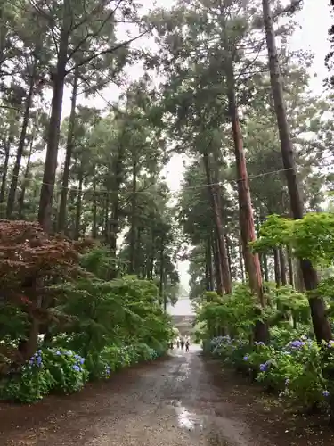 日本寺の庭園