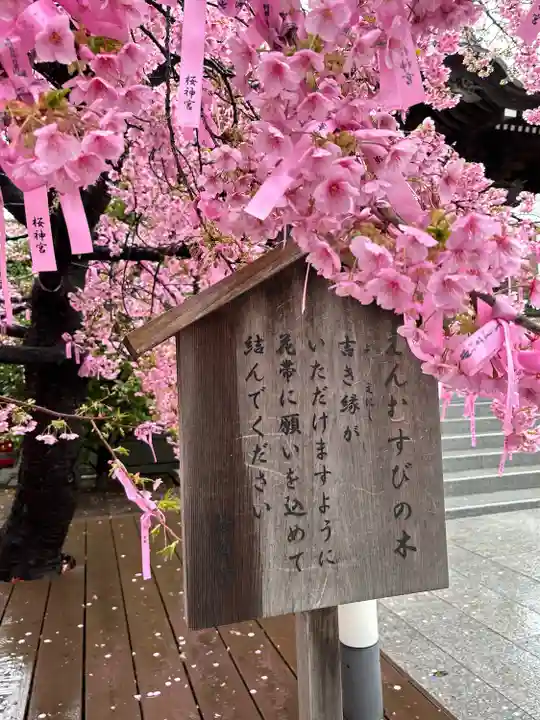 桜神宮(東京都)