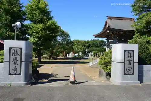 勝覚寺の山門