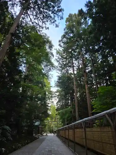 彌彦神社(新潟県)