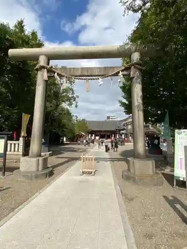 浅草神社の鳥居