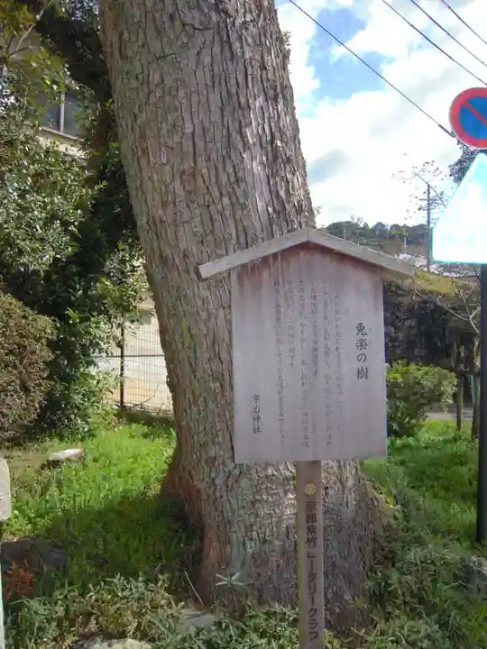 宇治神社の自然