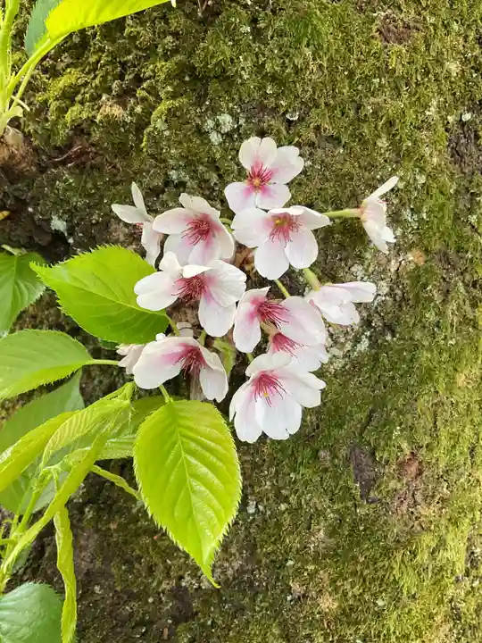 万尺寺(岐阜県)