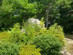 稲村神社の自然