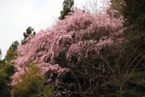 見渡神社の庭園