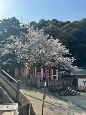 大縣神社(愛知県)