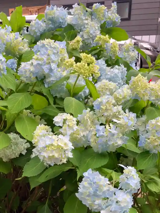 北広島市総鎮守 廣島神社の自然