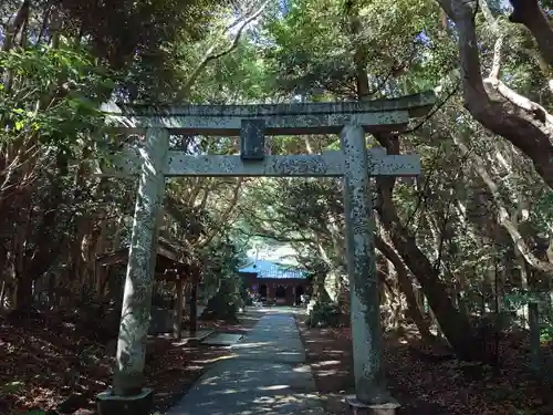 渡海神社の鳥居