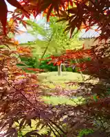 寿量山 速成寺の自然