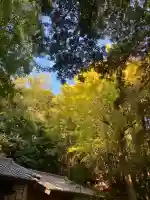 熊野神社(神奈川県)