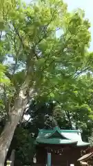 酒門神社(茨城県)