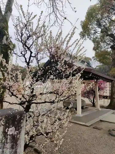 結城神社の手水舎