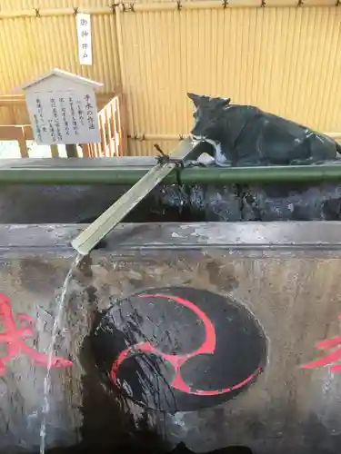 羽田神社の手水