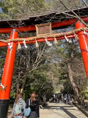 宇治上神社の鳥居