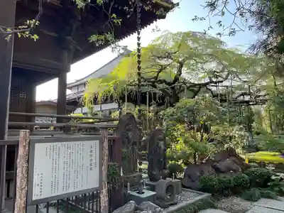 玉蔵院(埼玉県)