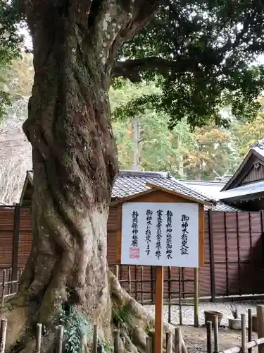 小國神社の自然