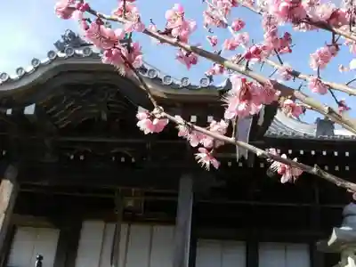 無動寺（延暦寺塔頭）のその他建物