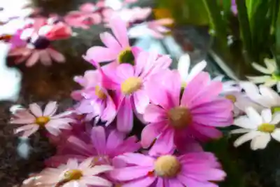 三津厳島神社の手水舎