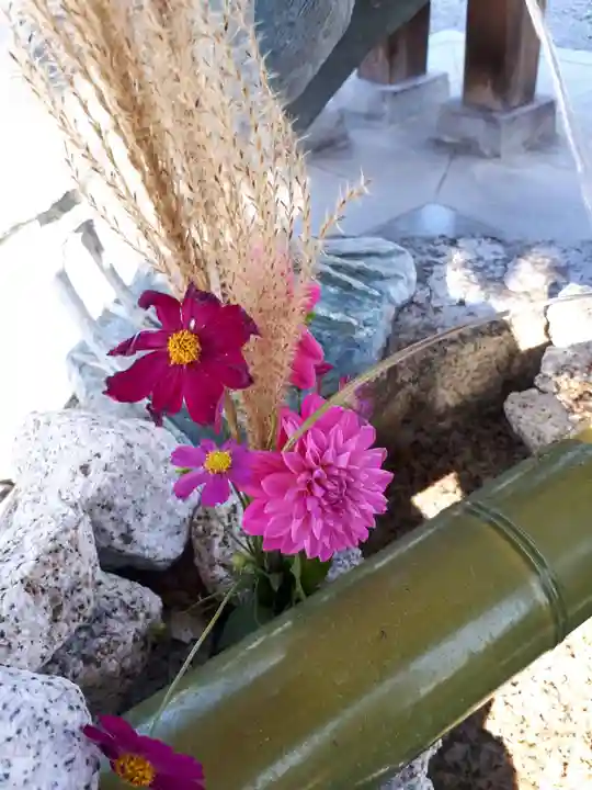 白鷺神社の手水舎