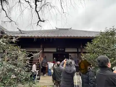 地蔵院（椿寺）(京都府)