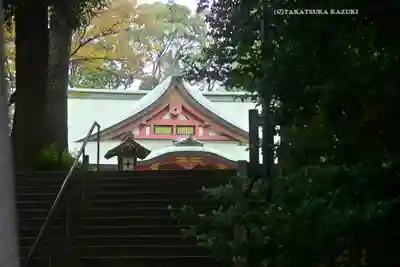 世田谷八幡宮(東京都)