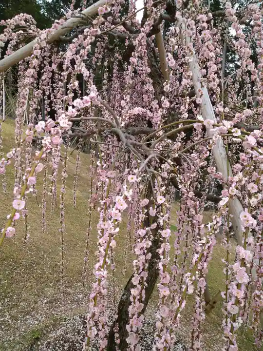 三室戸寺(京都府)